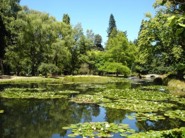 queenstown gardens 700 