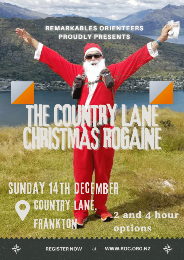 Country lane christmas rogaine small size